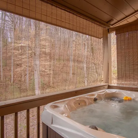 Cozy Cabin Retreat: Tiny Trotter Bryson City Extérieur photo