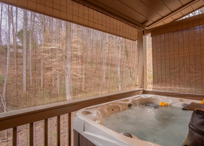 Cozy Cabin Retreat: Tiny Trotter